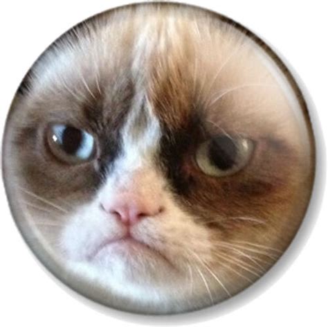 Grumpy Cat Face 25mm 1 Pin Button Badge Internet Meme