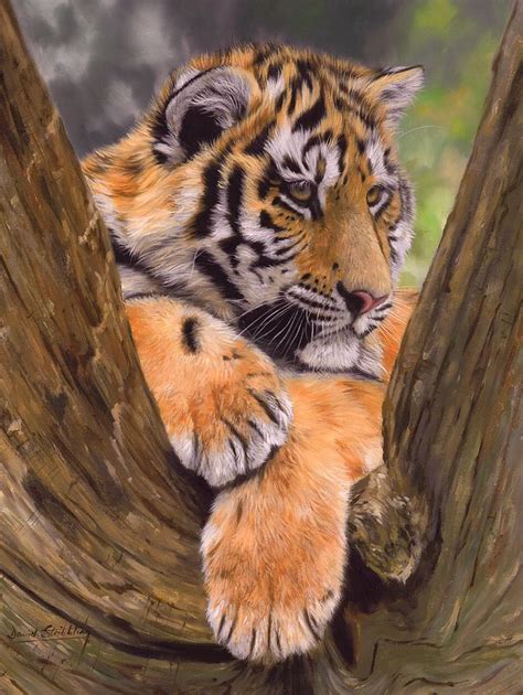 Tiger Cub Painting Painting By David Stribbling