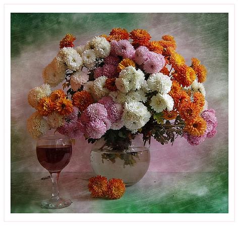 Chrysanthemums Glass Still Life Wine Chrysanthemum Flower Vase