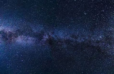 The database has more than 16.000 cultivars. Astronomie : pluie d'étoiles filantes le weekend du 21 et ...