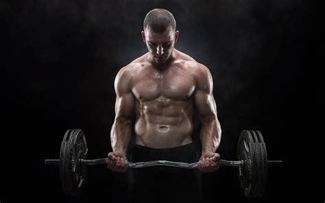 Free Photo Person Holding Barbell Action Muscles Weights Free Download Jooinn