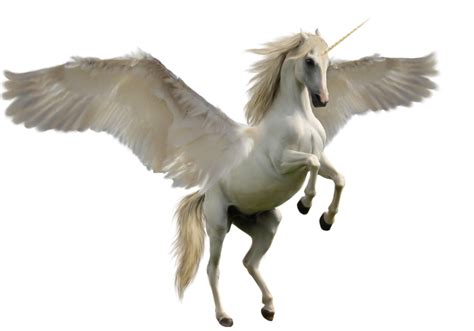 PEGASE LICORNE in 2020 | Unicorn images, Mythical creatures list