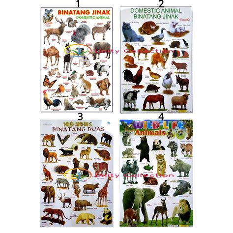 Jual Poster Edukasi Anak Belajar Binatang Jinak Dan Binatang Buas