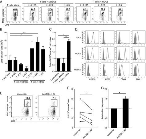 Programmed Death Ligand 1 On Antigen Presenting Cells Facili