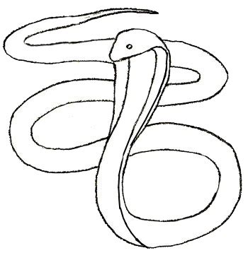 This drawing is done with graphit. How to Draw a Snake - Draw Step by Step
