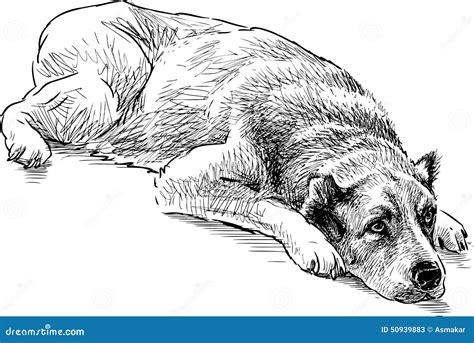 Dog Vector Vector Drawing Dogs