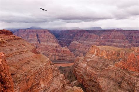 Las Vegas Grand Canyon Hubschrauber Landung Tour Getyourguide