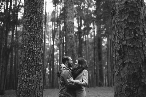 Watagans Pine Forest Engagement Wedding Photographer