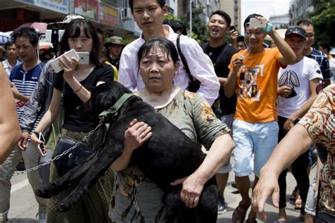 China Dog Meat Festival Gets Low Key Opening Amid Protests