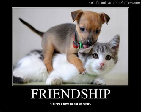 Pets Demotivational Posters And Images