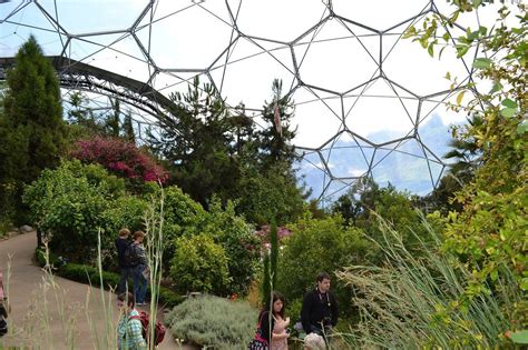 Eden Project Cornwall Review Eden Project Uk Holidays Cornwall
