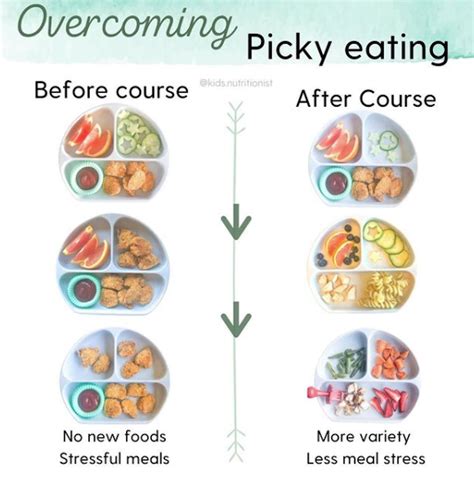 14 Lunch Ideas For Picky Eaters That Are Yummy And Nutritious