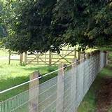 Electric Wire On Top Of Fence