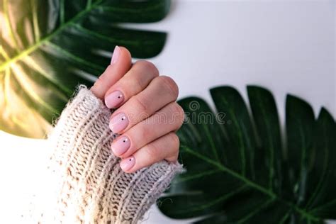 Woman Hands With Beautiful Nude Manicure On Palm Leaf Female Manicure