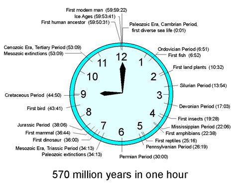 Time Clocks Educational Resources For K 16