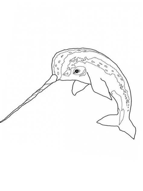Here you can find oodles of awesomeness such as mazes, coloring pages, jokes, and general podtasticness. Get This Narwhal Coloring Pages Free Printable 68103