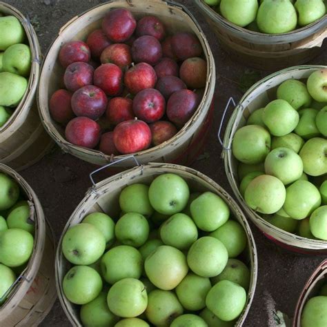 Check spelling or type a new query. 25 Totally Natural Appetite Suppressants | Natural ...