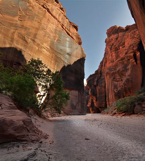 Buckskin gulch (named on some maps as kaibab gulch, or the dive) is a tributary of the paria three trailheads give access to the gulch; 1000+ images about Buckskin Gulch 2013 on Pinterest ...