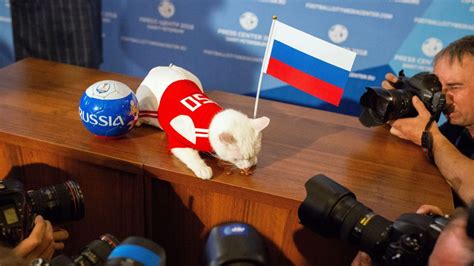 world cup 2018 opener to be won by russia achilles the psychic cat predicts espn