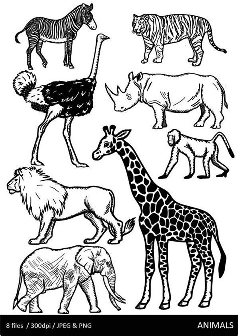 Check out our jungle clip art selection for the very best in unique or custom, handmade pieces from our craft supplies & tools shops. Black And White Animals Clip art Jungle Animals Safari | Etsy