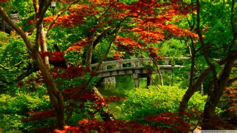 Free Download Japan Nature 1920x1440 Hd Wallpapers Pack 2 Photo 10 Of