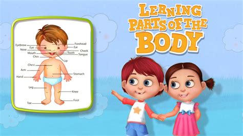 This tamil rhymes for children video is about tamil alphabets (vowels); Learning Parts Of The Body - Learning Body Parts Games By ...