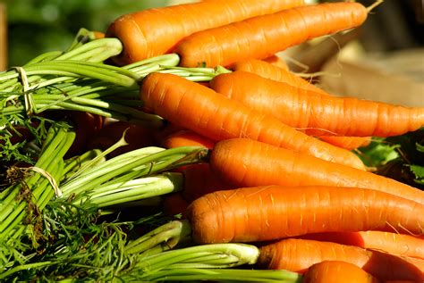 Free Images Food Produce Market Carrot Vegetables Carrots