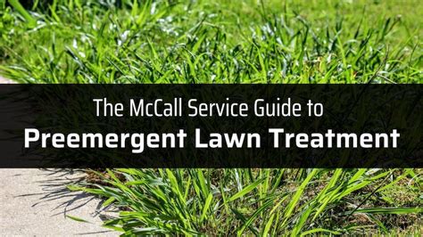 Maybe you would like to learn more about one of these? Blog - McCall Service | Northern FL and GA Pest & Termite ...