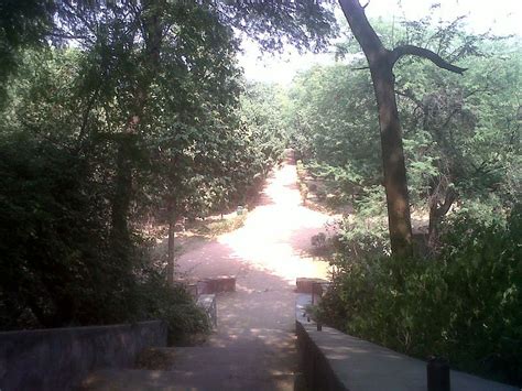 Deer park was founded in 1892 by simeon henry west, a settler from illinois. Deer Park, Delhi - Entry Fee, Visit Timings, Things To Do ...
