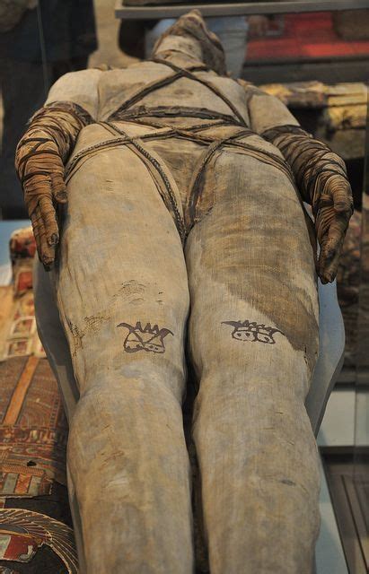 mummy ancient egypt british museum flickr photo sharing ancient egypt egypt history