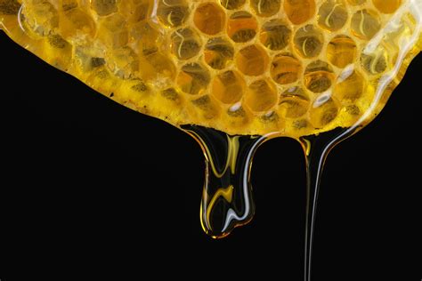 The obligation is immediately demandable because there is no condition &. What Exactly Is a Pure Substance?