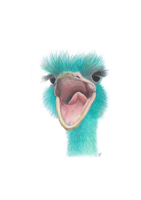 2020 Teal Ostrich Colored Pencil Drawing Etsy
