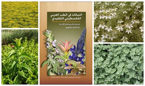 Within the agroecosystem itself, increasing crop diversity through the use of polycultures can augment the management of agroecosystems for high productivity results often results in low plant species richness, since ? Facts and Figures | Biodiversity & Environmental Research ...