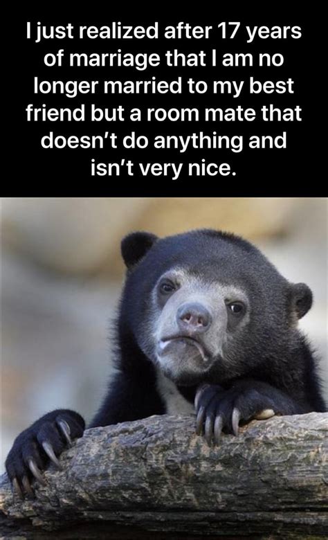 My First Confession Bear Meme And Its Very Saddening To Me As I Didn