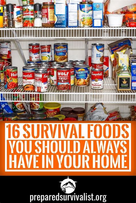 16 Survival Foods You Should Always Have In Your Home Survival Food