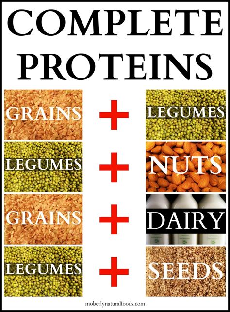 Printable Complete Protein Combinations Chart