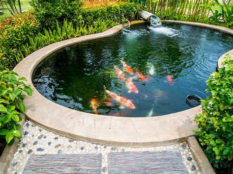9 Tips untuk Desain Kolam Ikan Koi yang Cantik dan Segar