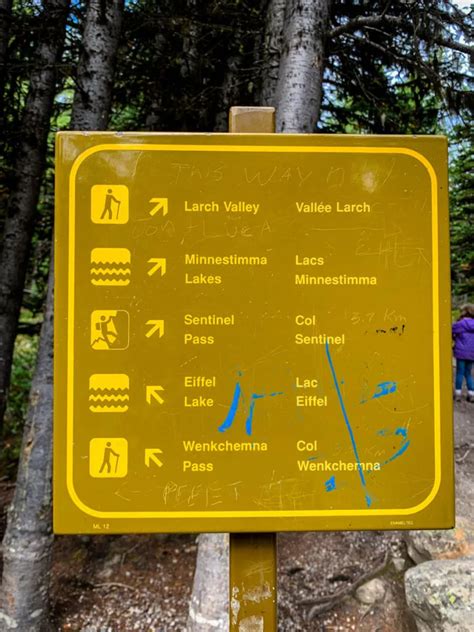 Larch Valley Hike In Banff National Park Updated For 2023 Travel
