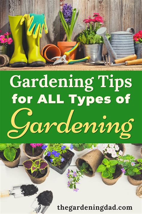 101 Gardening Tips That Actually Work The Gardening Dad Gardening