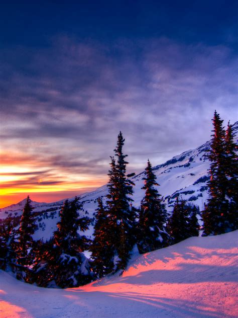Free Download Sunset Winter Trees Mountains Landscape Wallpaper