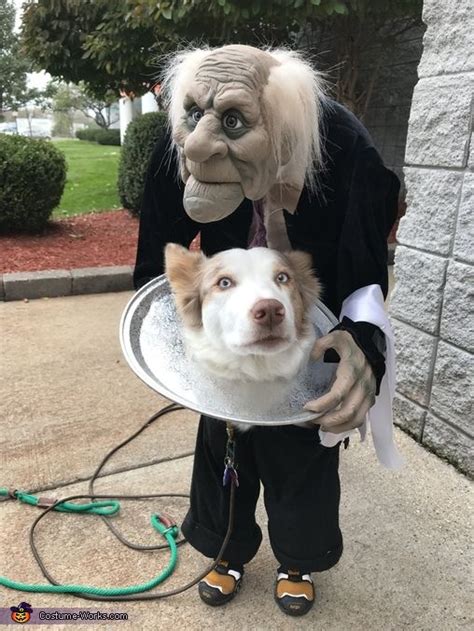Dinner Is Served 2018 Halloween Costume Contest Best Dog Halloween