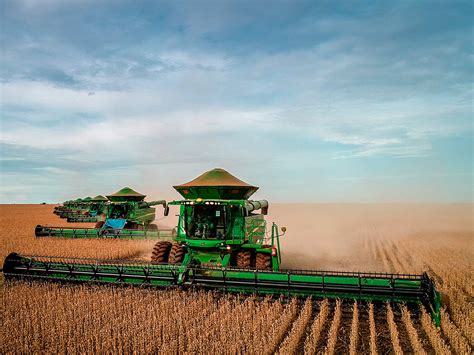 Seu Processo Agricola Chamado Coivara