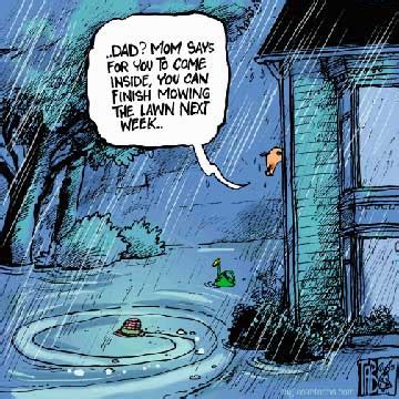 SitNews - SPLAT By Dave Kiffer
