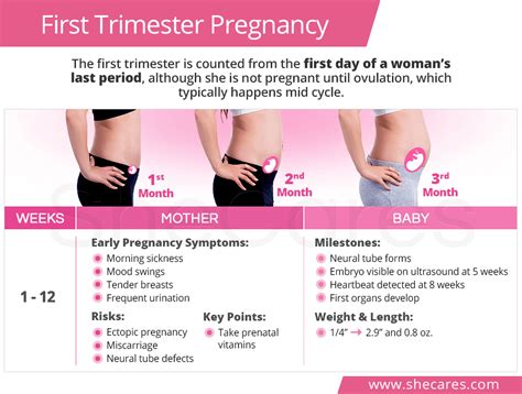 symptoms during 1st trimester exurt
