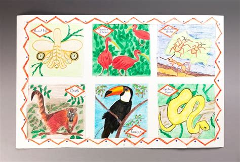 Amazing Amazon Life | crayola.com