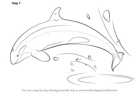 Learn How To Draw A Killer Whale Antarctic Animals Step By Step