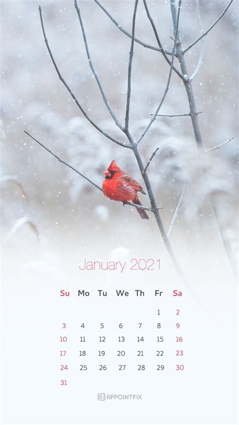 Get your january 2021 desktop cruise themed calendar wallpaper! Free January 2021 Calendar Wallpapers - Desktop & Mobile