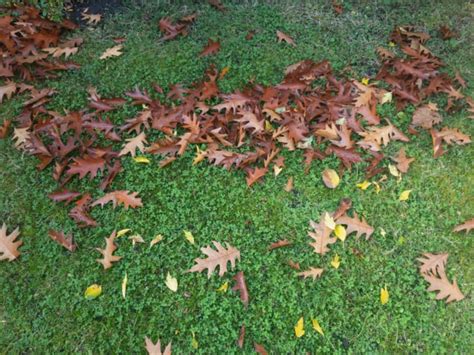 Ein heftiger sturm hat in einer gemeinde in ostfriesland eine schneise der verwüstung hinterlassen. Sturm über Emden - Jenseits des täglichen Wahnsinns