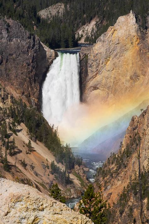 Rainbow Lower Yellowstone Falls Grand Canyon Of The Yellowstone