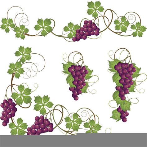 Grapevine Border Free Clipart Free Images At Vector Clip